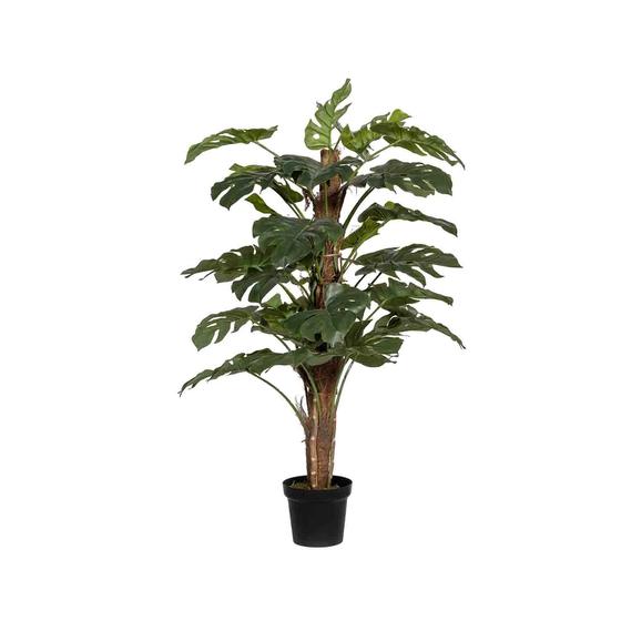 Monstera Pertusum műnövény