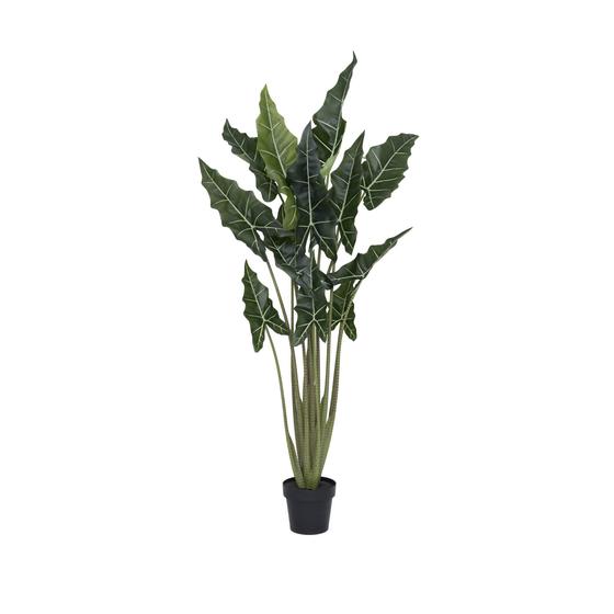 Alocasia taro műnövény