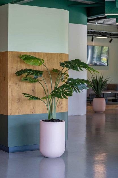 Monstera műnövény