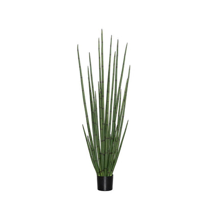 Sansevieria anyósnyelv műnövény