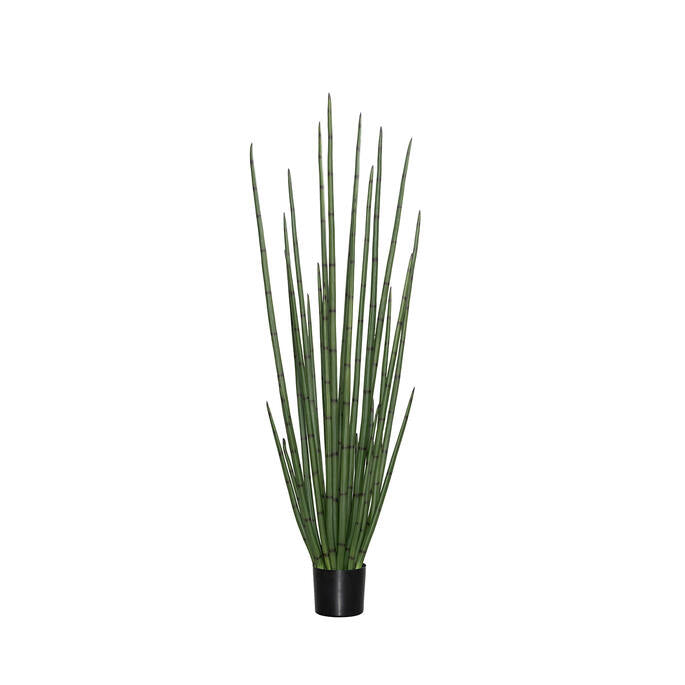 Sansevieria anyósnyelv műnövény