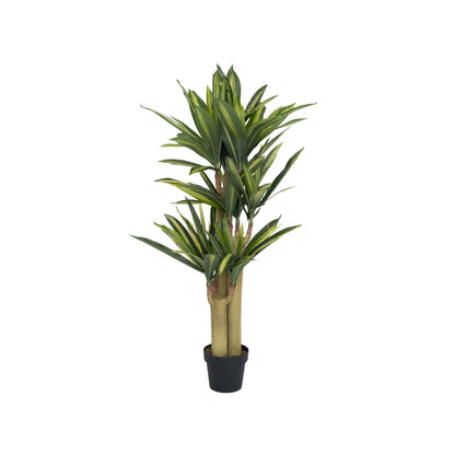 Dracena műnövény