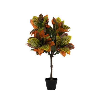 Codiaeum műnövény