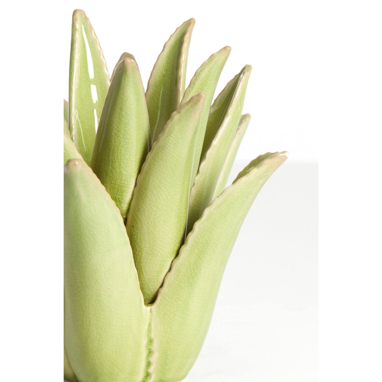 CACTUS gyertyatartó