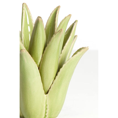 CACTUS gyertyatartó