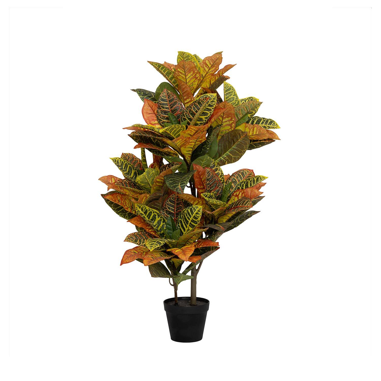 Codiaeum műnövény