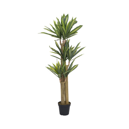 Dracena műnövény