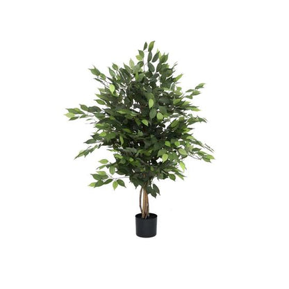 Ficus tree műnövény
