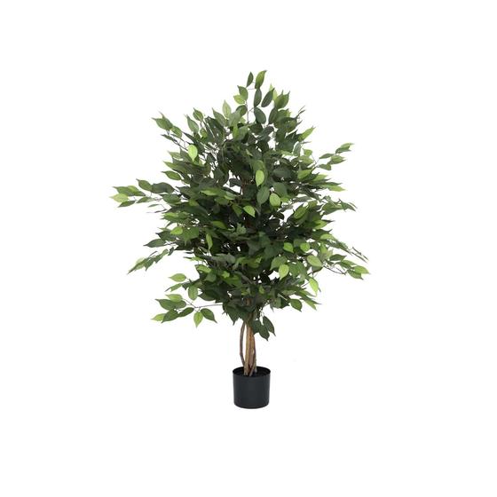 Ficus tree műnövény
