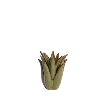 CACTUS gyertyatartó
