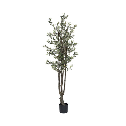 Olive Tree műnövény