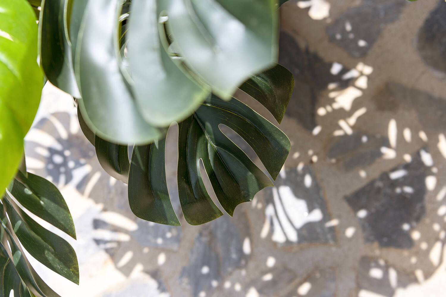 Monstera műnövény