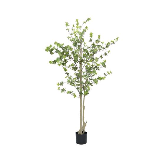 Enkianthus perulatus műnövény
