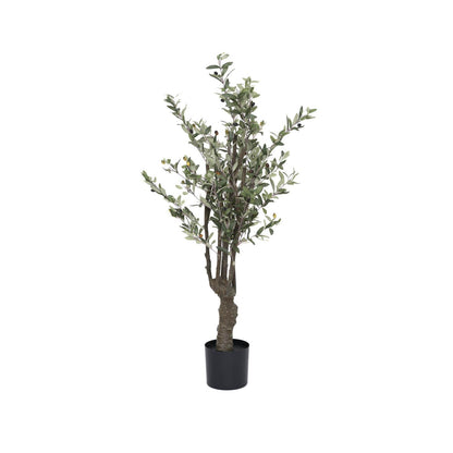 Olive Tree műnövény