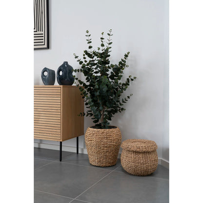 Eukaliptusz műnövény 120cm