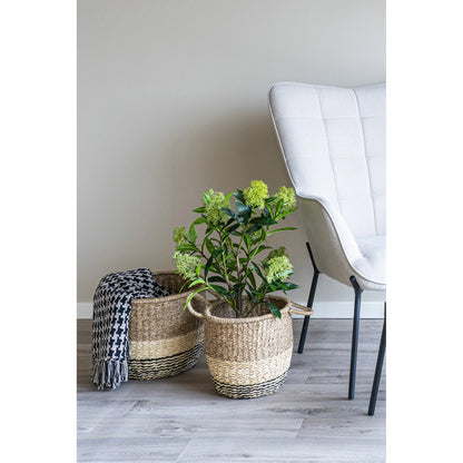Skimmia (Dérbabér) műnövény 75 cm