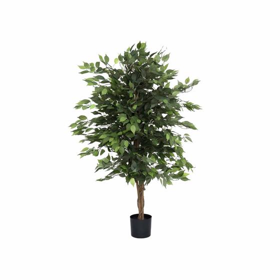 Ficus tree műnövény