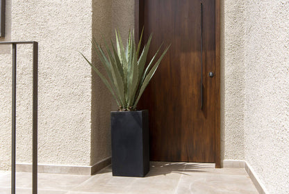 Agave műnövény
