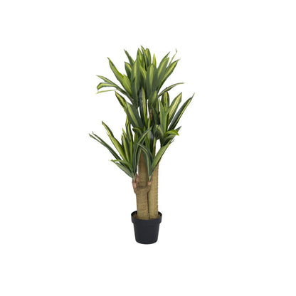 Dracena műnövény