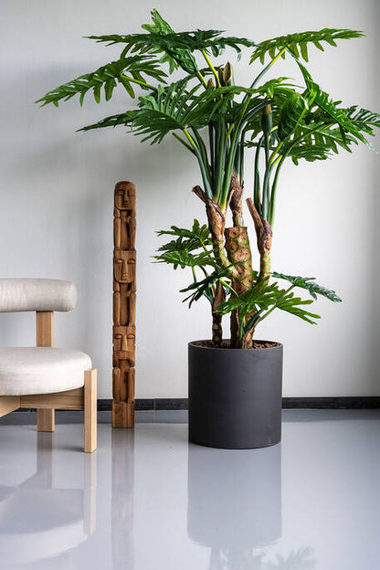 Philodendron műnövény