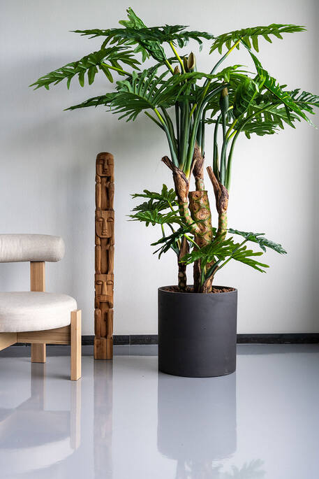 Philodendron műnövény