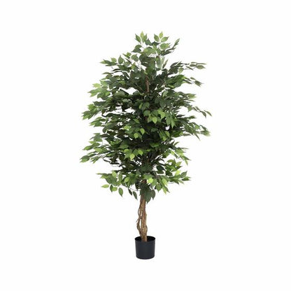 Ficus tree műnövény