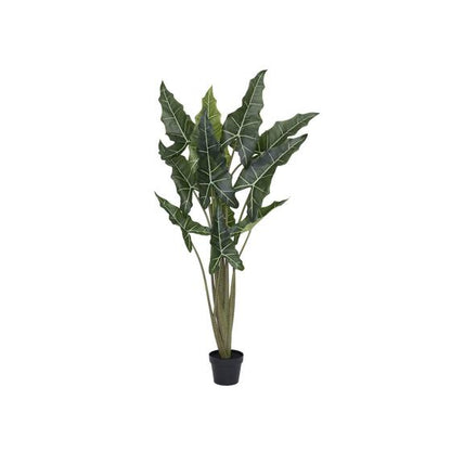 Alocasia taro műnövény