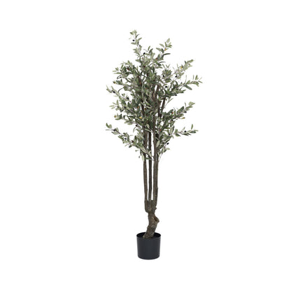 Olive Tree műnövény