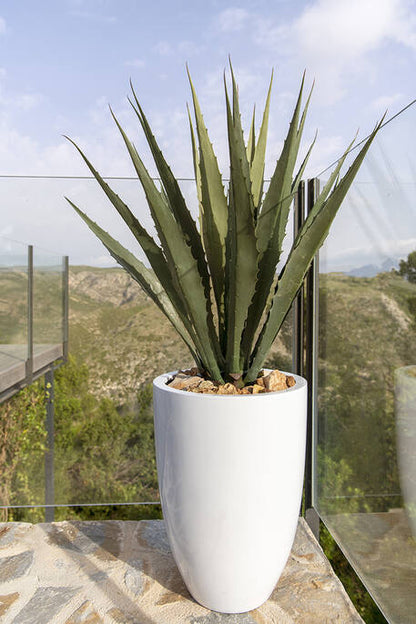 Agave műnövény