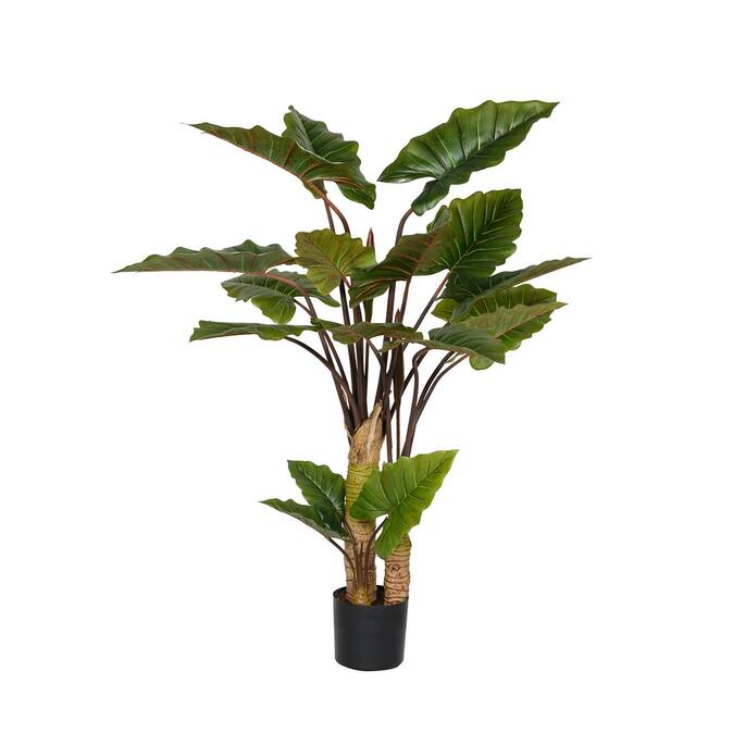 Alocasia műnövény