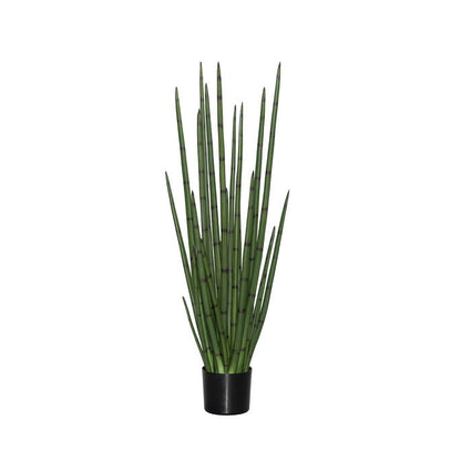 Sansevieria anyósnyelv műnövény